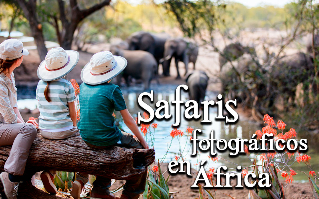 Viajes de novios y combinados 2025 Agencia especializada en luna de miel